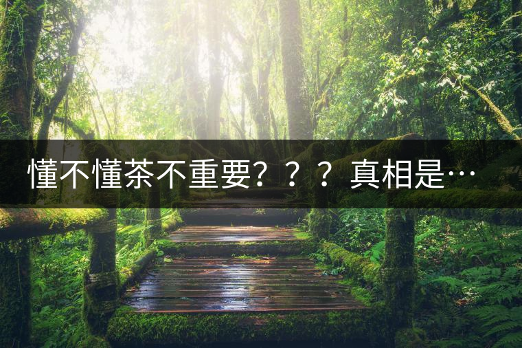 懂不懂茶不重要？？？真相是……