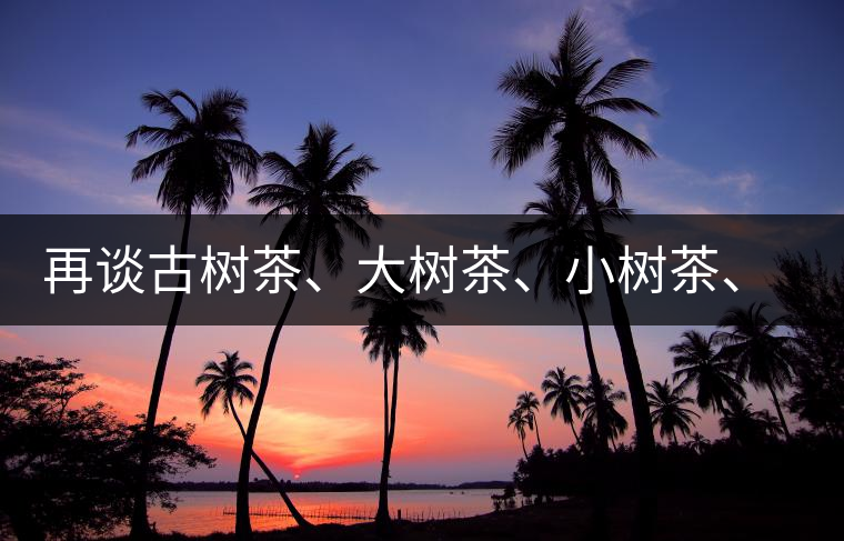 再談古樹(shù)茶、大樹(shù)茶、小樹(shù)茶、臺(tái)樹(shù)茶…