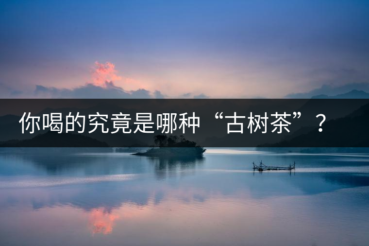 你喝的究竟是哪種“古樹茶”？（收茶必備知識）