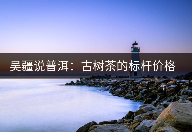 吳疆說普洱：古樹茶的標(biāo)桿價格在哪里？