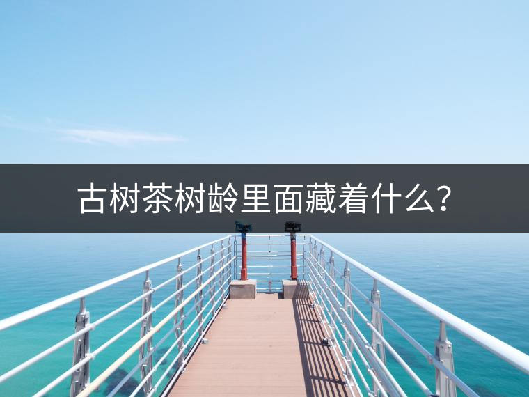 古樹茶樹齡里面藏著什么？
