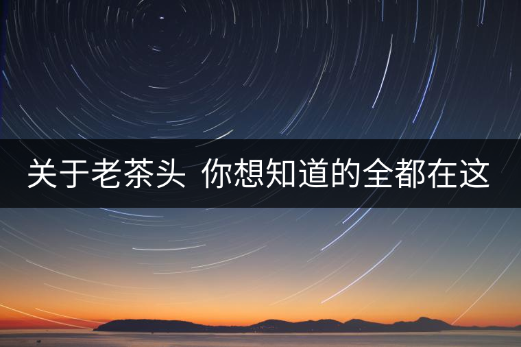 關(guān)于老茶頭  你想知道的全都在這兒啦！