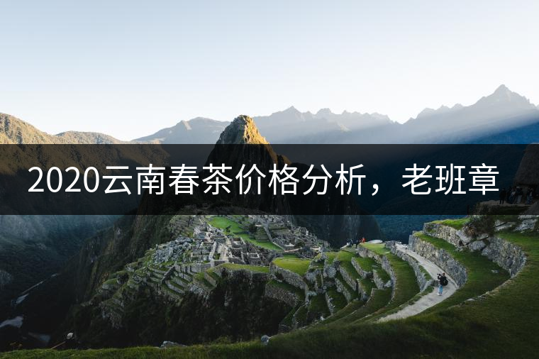 2020云南春茶價格分析，老班章依然將獨占鰲頭？