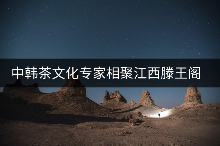 中韓茶文化專(zhuān)家相聚江西滕王閣品茶論道