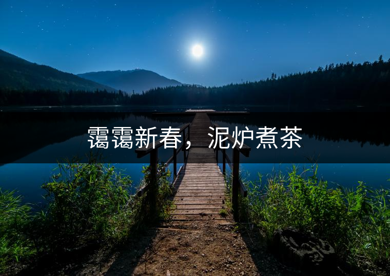 靄靄新春，泥爐煮茶
