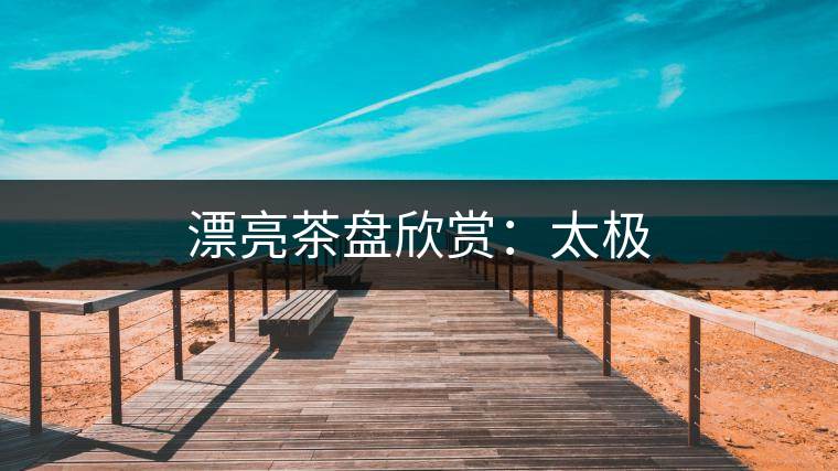 漂亮茶盤(pán)欣賞：太極