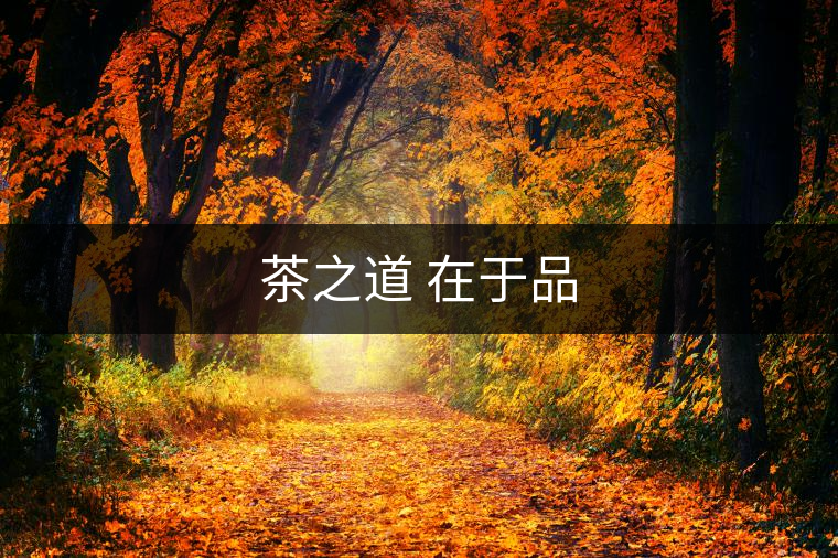 茶之道 在于品