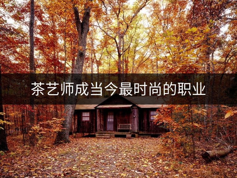 茶藝師成當(dāng)今最時(shí)尚的職業(yè)