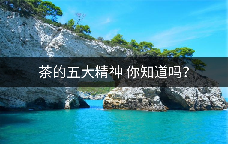 茶的五大精神 你知道嗎？