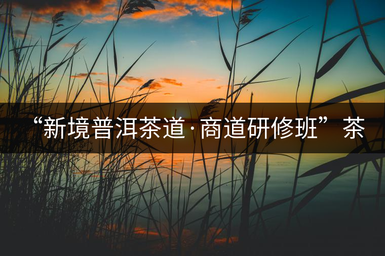 “新境普洱茶道·商道研修班”茶山考察--山中一棵樹 手里一杯茶