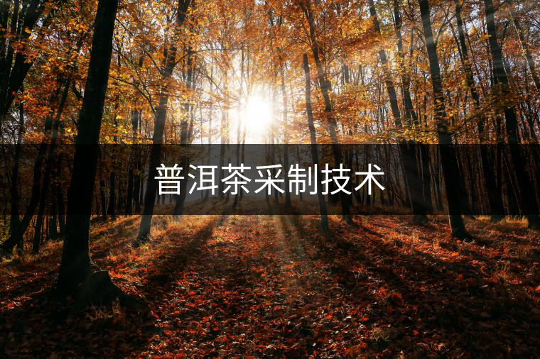 普洱茶采制技術(shù) 普洱茶采制技術(shù)
