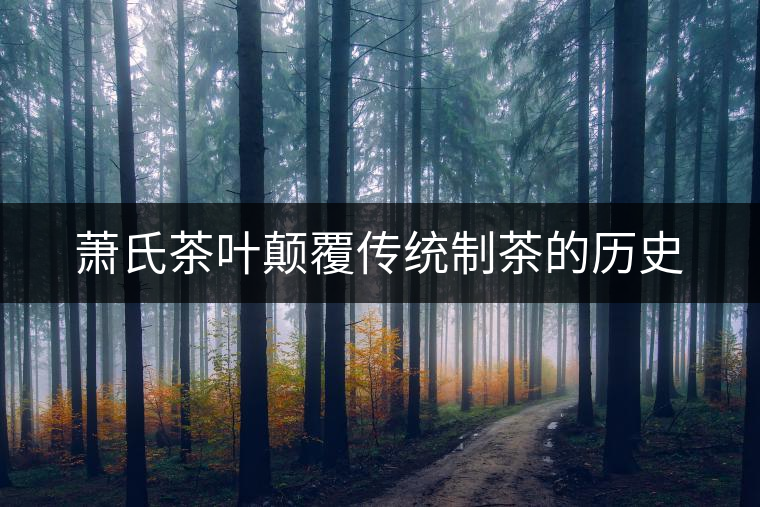 蕭氏茶葉顛覆傳統(tǒng)制茶的歷史