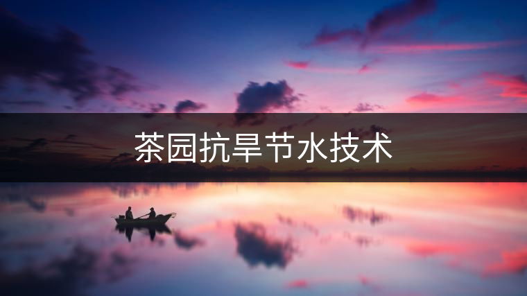 茶園抗旱節(jié)水技術(shù)