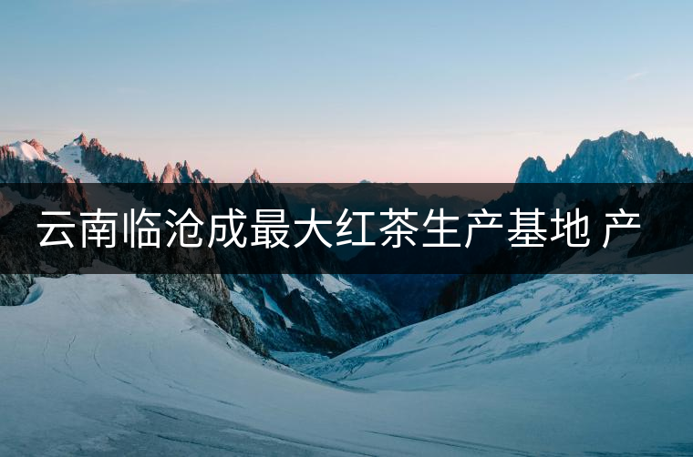 云南臨滄成最大紅茶生產(chǎn)基地 產(chǎn)量占全國20%