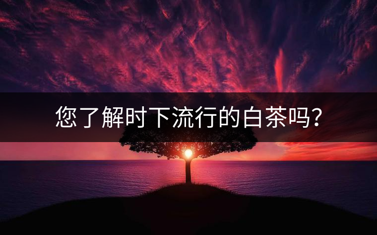 您了解時(shí)下流行的白茶嗎？
