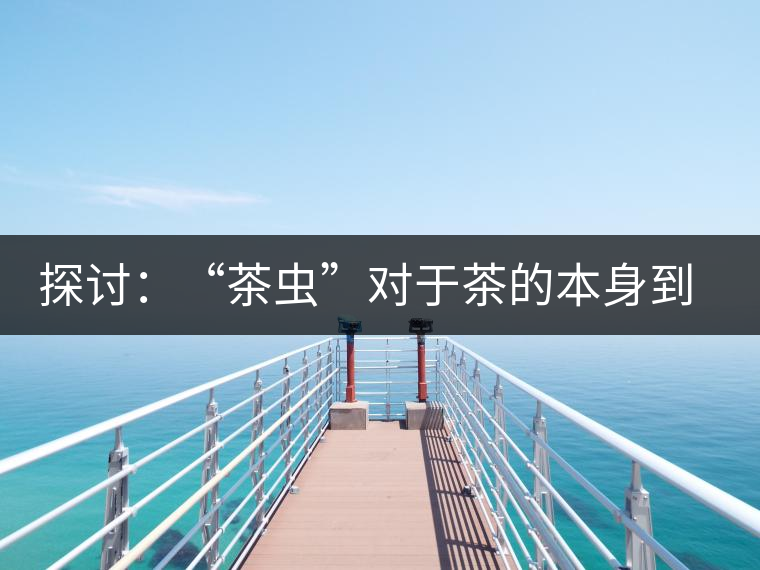 探討：“茶蟲”對于茶的本身到底是好是壞？