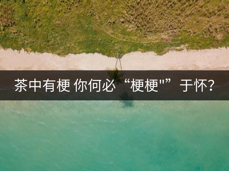 茶中有梗 你何必“梗梗 茶中有梗 你何必“梗梗