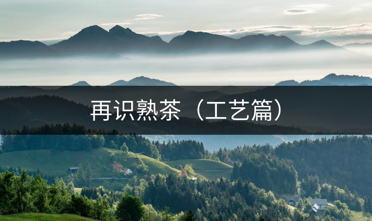 再識(shí)熟茶（工藝篇）