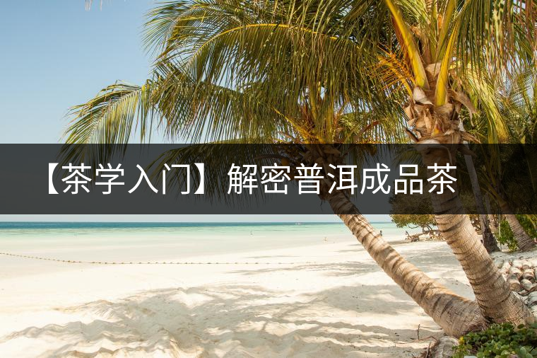 【茶學(xué)入門】解密普洱成品茶干燥