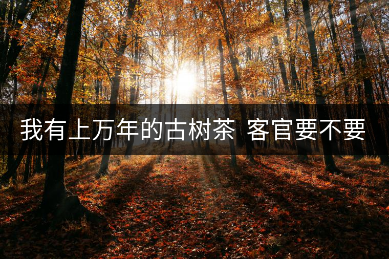 我有上萬(wàn)年的古樹茶  客官要不要嘗嘗？