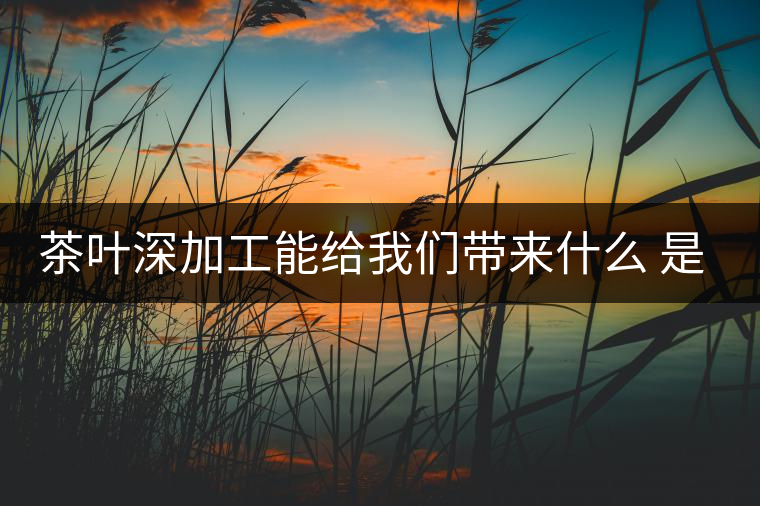 茶葉深加工能給我們帶來什么 是利還是弊呢？