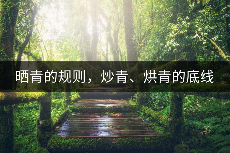 曬青的規(guī)則，炒青、烘青的底線