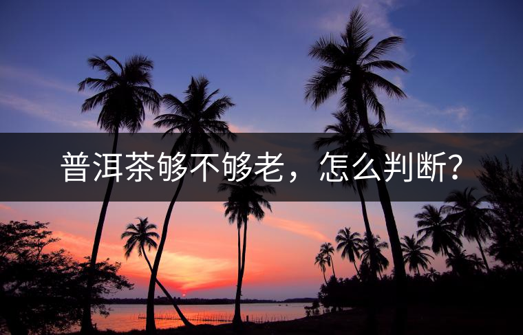 普洱茶夠不夠老，怎么判斷？