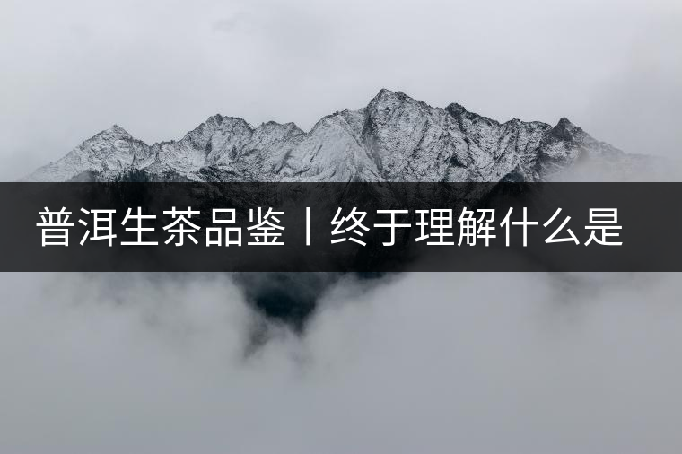 普洱生茶品鑒丨終于理解什么是“醇厚、耐泡，回甘”了