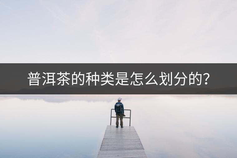 普洱茶的種類是怎么劃分的？