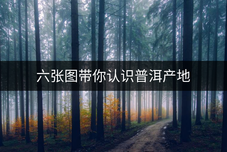 六張圖帶你認識普洱產(chǎn)地