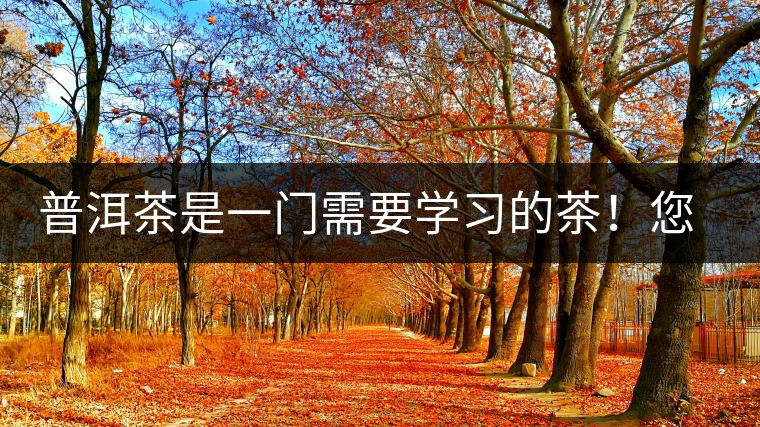 普洱茶是一門需要學(xué)習(xí)的茶！您學(xué)到了多少？看看專家怎么說