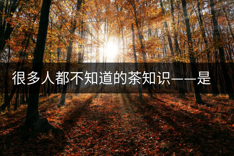 很多人都不知道的茶知識——是什么造就了普洱茶的一山一味？