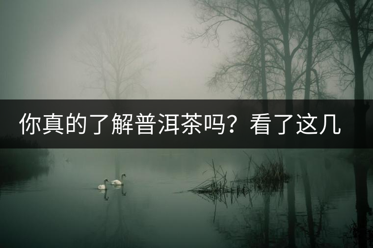 你真的了解普洱茶嗎？看了這幾個(gè)問(wèn)題……