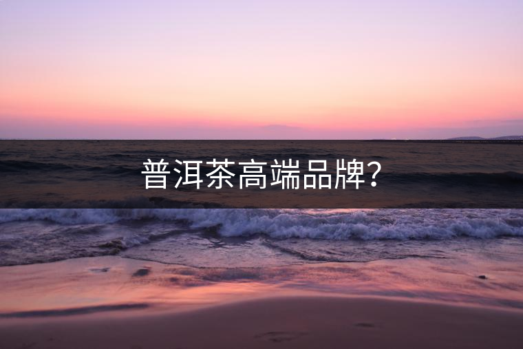 普洱茶高端品牌？