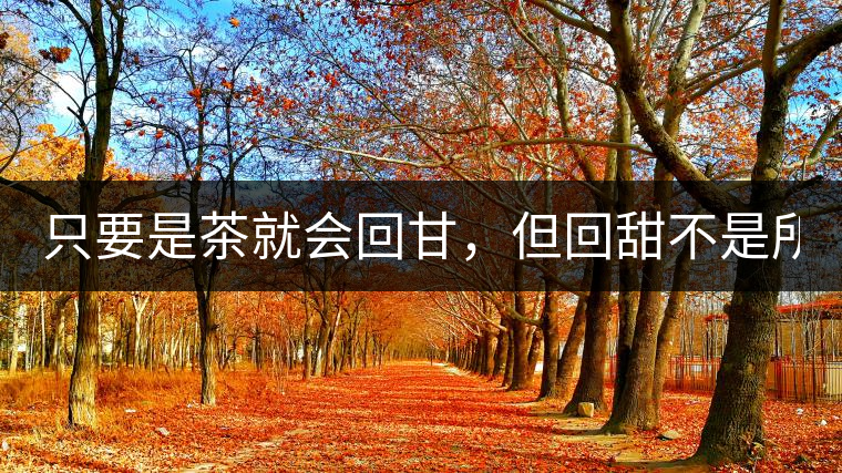 只要是茶就會回甘，但回甜不是所有茶都有！