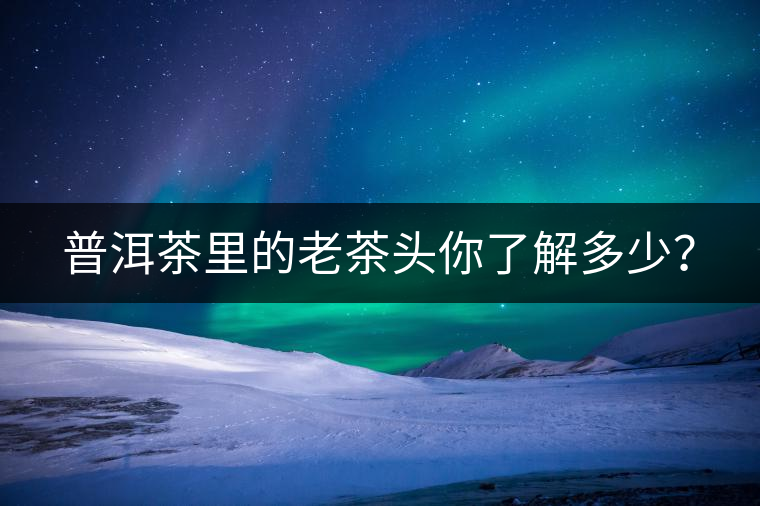 普洱茶里的老茶頭你了解多少？