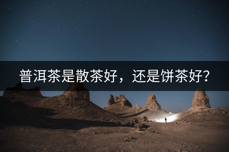 普洱茶是散茶好，還是餅茶好？