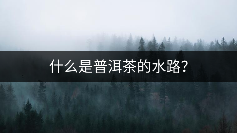 什么是普洱茶的水路？