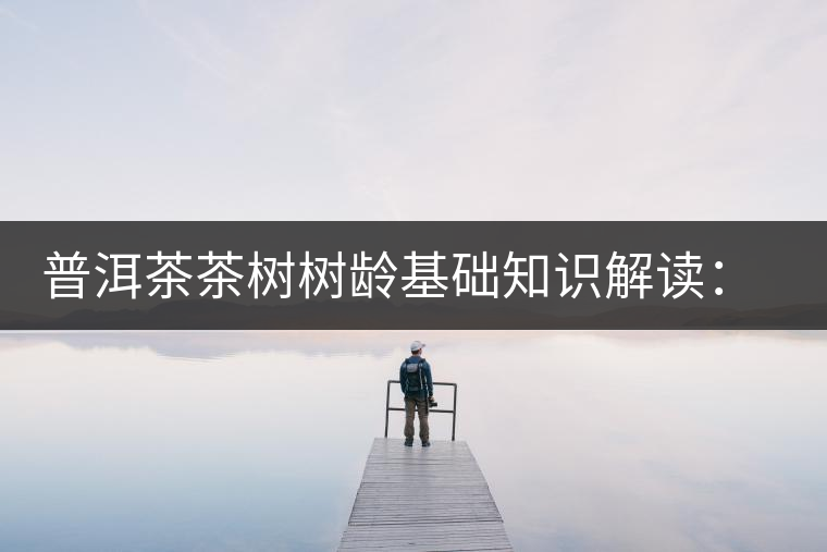 普洱茶茶樹樹齡基礎(chǔ)知識解讀：多大樹齡的茶才算古樹茶？