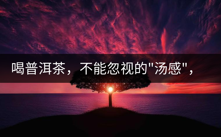 喝普洱茶，不能忽視的