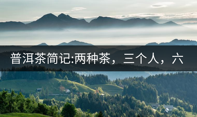 普洱茶簡記:兩種茶，三個人，六座山，七塊餅