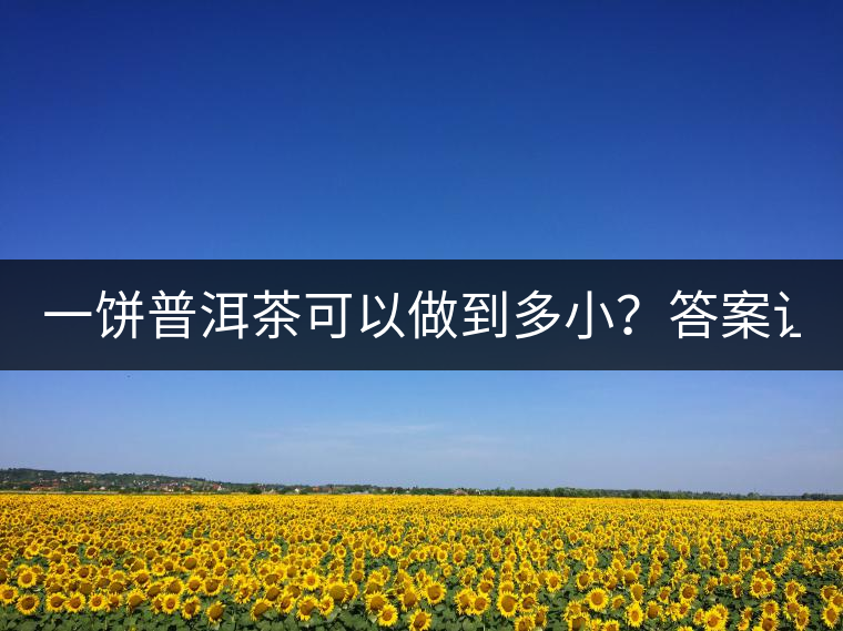 一餅普洱茶可以做到多小？答案讓人意想不到...