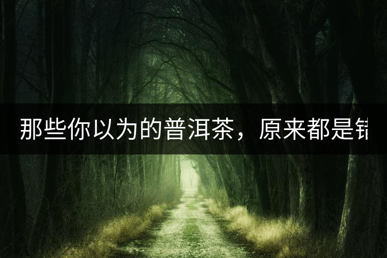 那些你以為的普洱茶，原來(lái)都是錯(cuò)的！