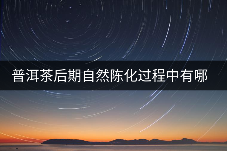 普洱茶后期自然陳化過程中有哪些變化？