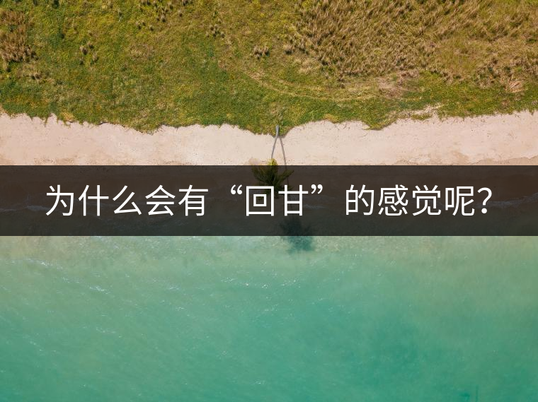 為什么會(huì)有“回甘”的感覺呢？