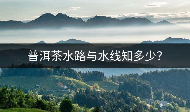 普洱茶水路與水線知多少？
