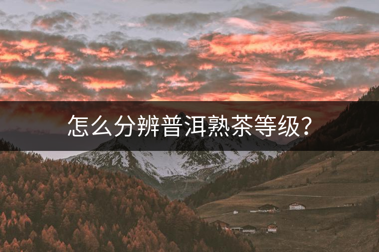 怎么分辨普洱熟茶等級？