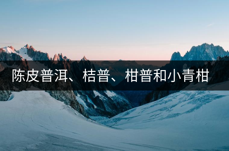 陳皮普洱、桔普、柑普和小青柑茶的分辨技巧