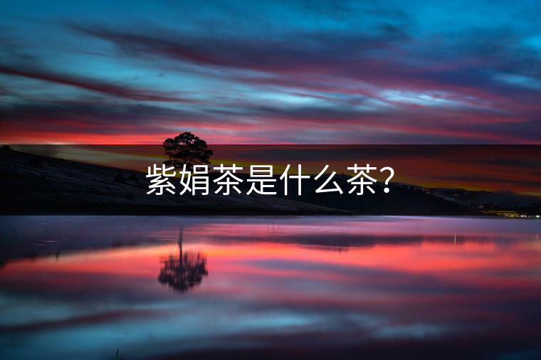 紫娟茶是什么茶？