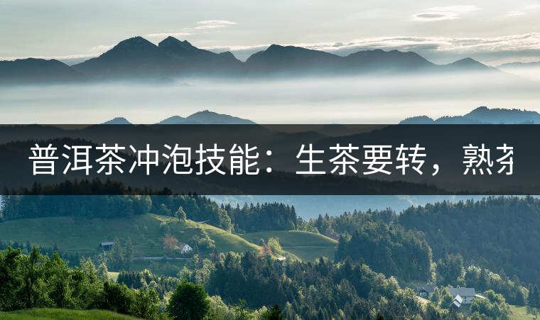 普洱茶沖泡技能：生茶要轉(zhuǎn)，熟茶要柔！